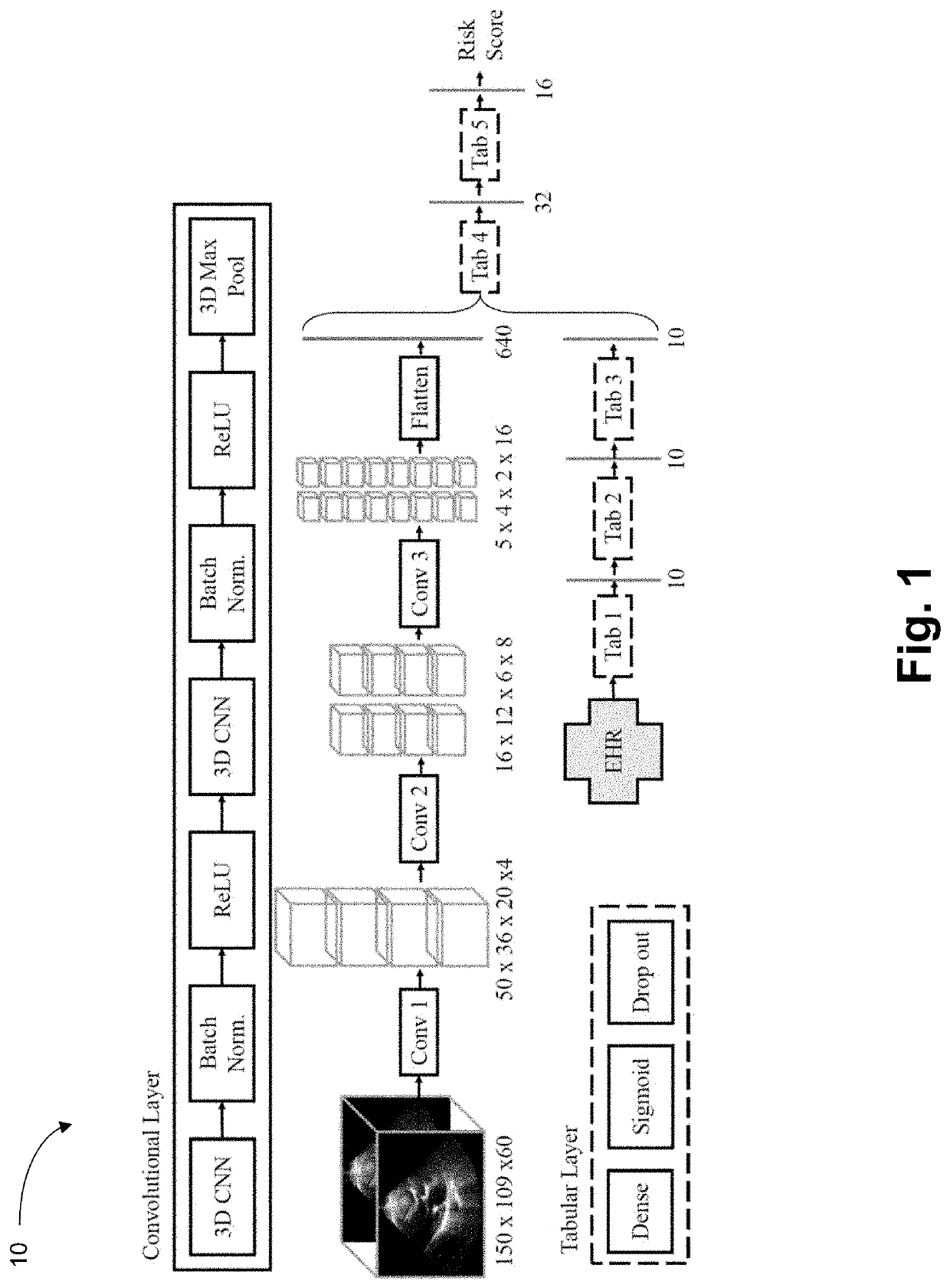 Systems and methods for a deep neural network to enhance prediction of patient endpoints using videos of the heart