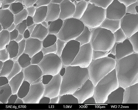 Method for preparing high-resilience thermoplastic polyurethane foamed particles and molded body thereof