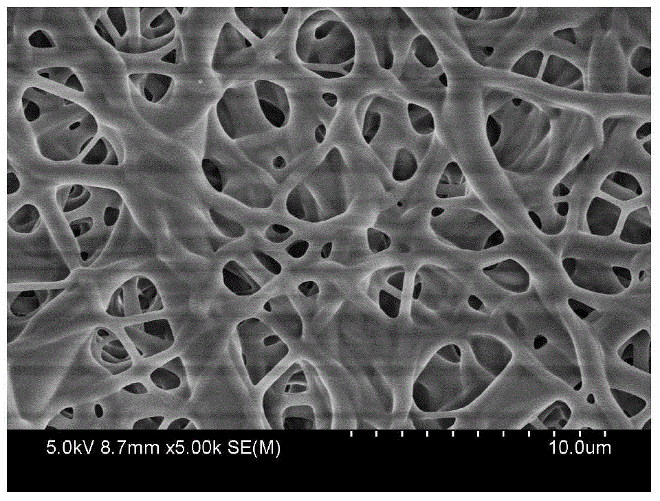 Composite electrolyte membrane based on functional polymer and preparation method thereof, and lithium-sulfur secondary cell