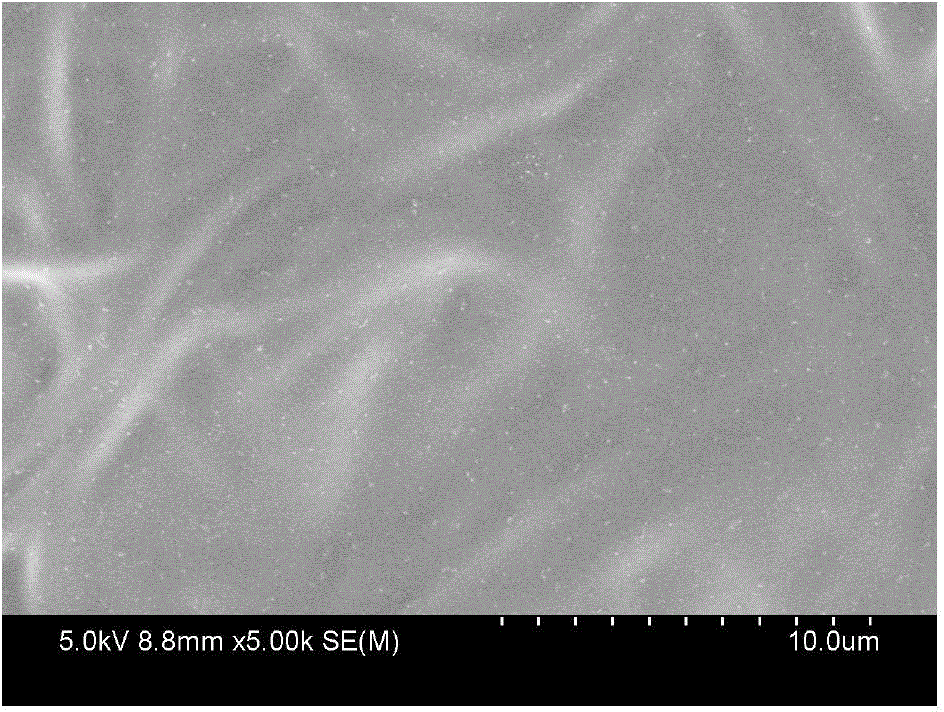 Composite electrolyte membrane based on functional polymer and preparation method thereof, and lithium-sulfur secondary cell