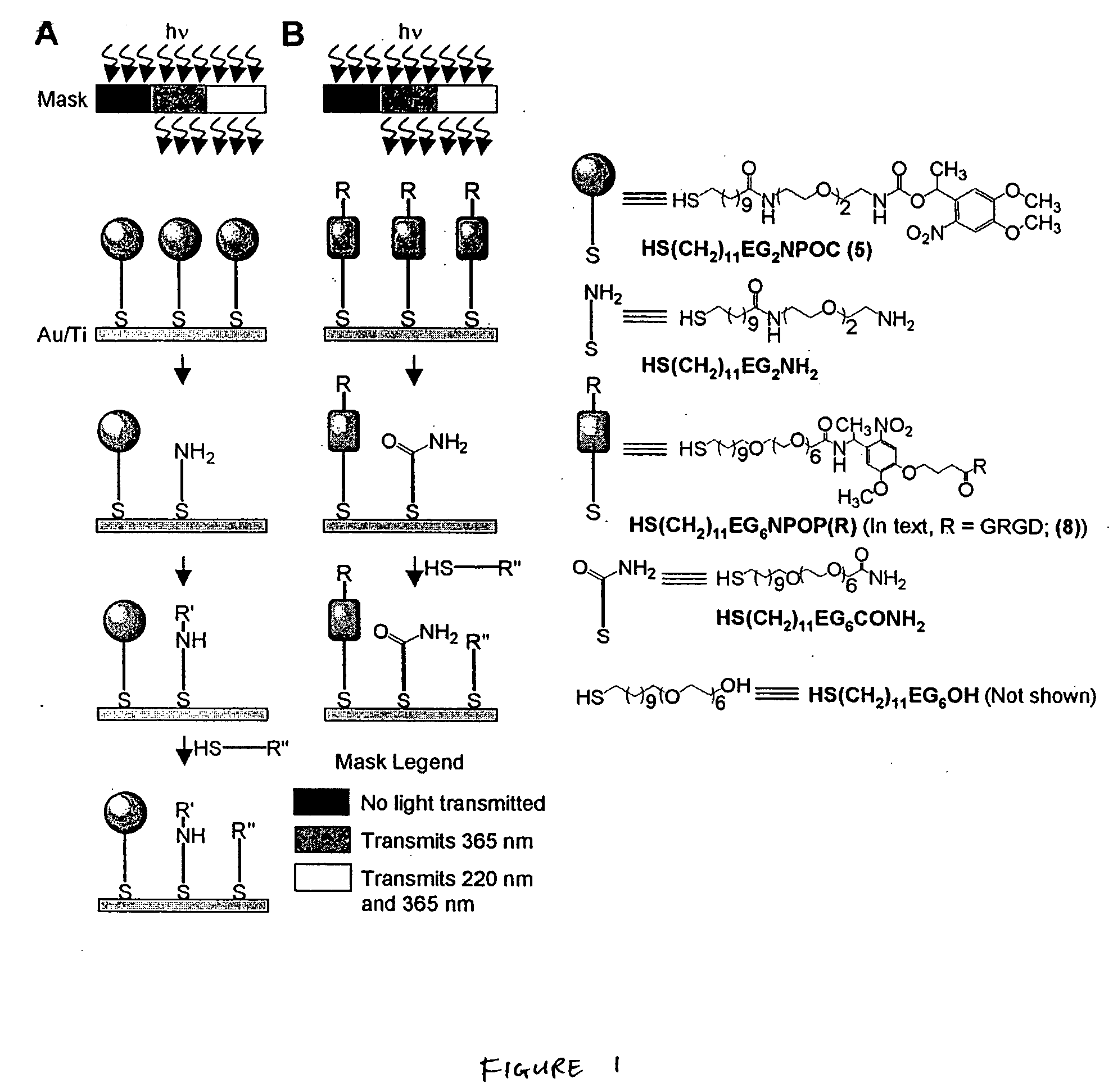 Patterning and alteration of molecules