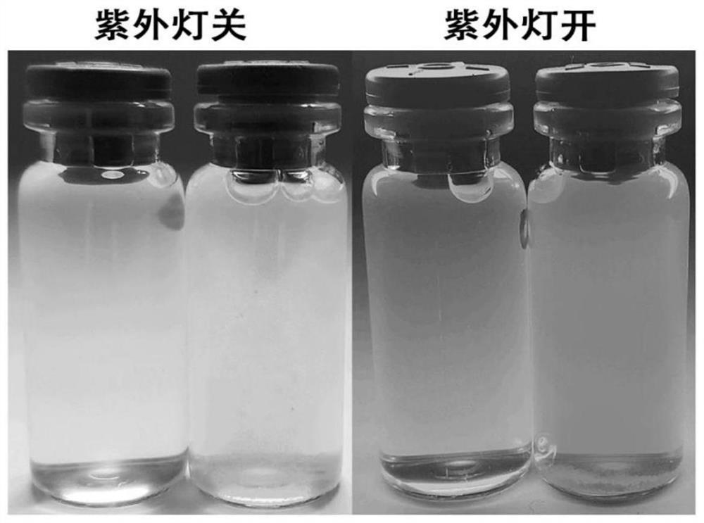 Cadmium sulfide quantum dot and preparation method thereof