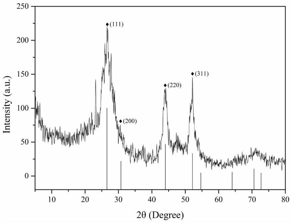 Cadmium sulfide quantum dot and preparation method thereof