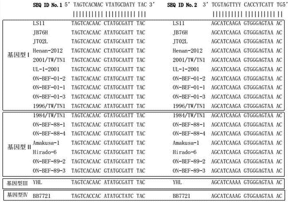 Primers for detecting bovine ephemeral fever virus and detection kit