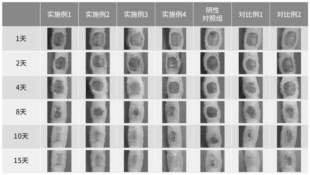 Skin care and repair composition as well as preparation method and application thereof