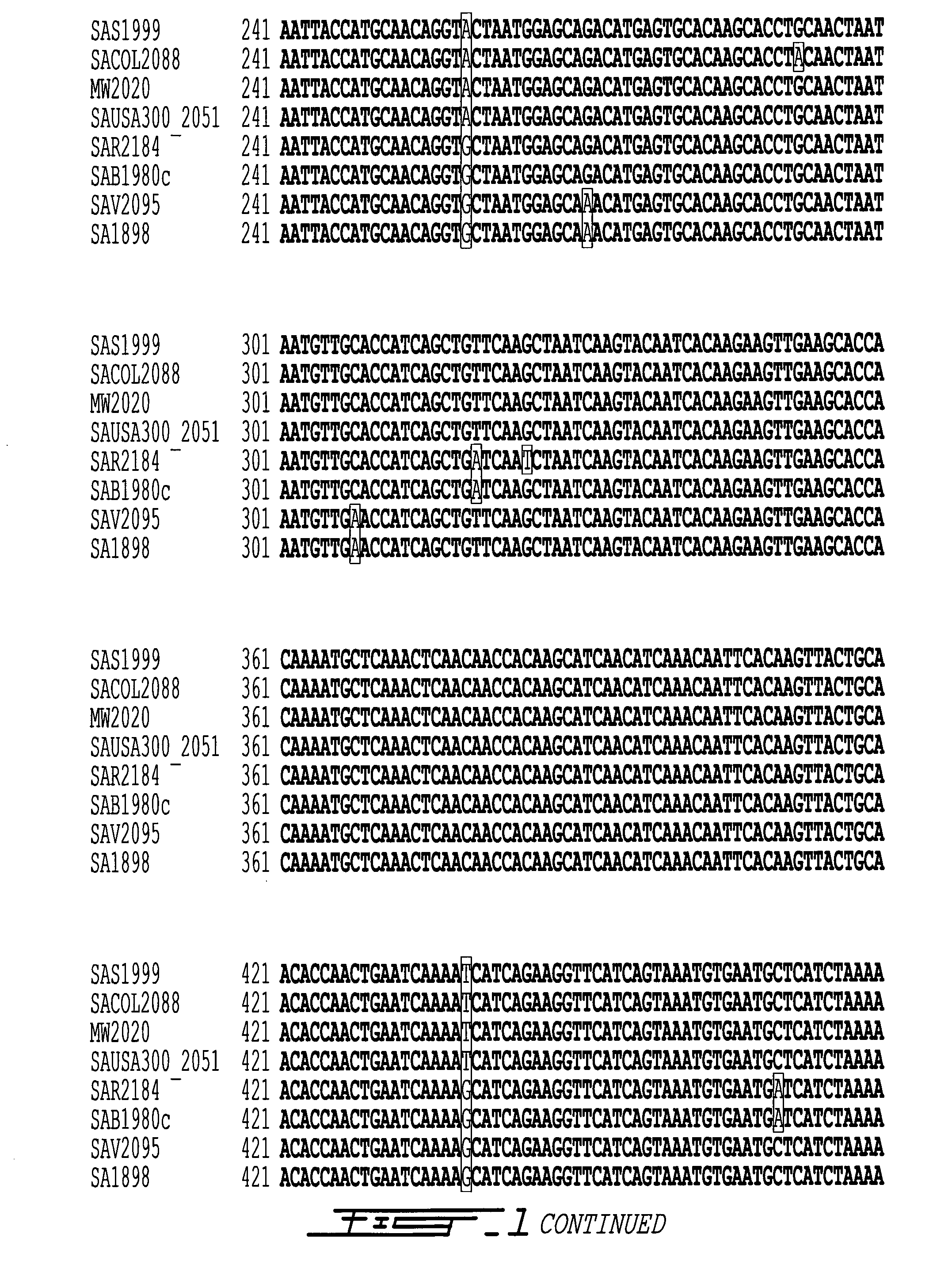 Reliable detection of vancomycin-intermediate staphylococcus aureus