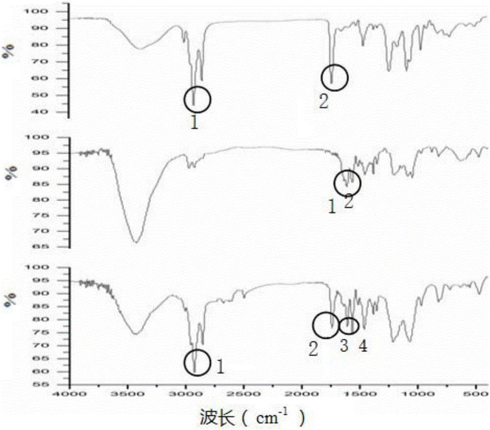 Phosphatidyl nanometer prodrug released by enzymatic response and preparation method and application thereof