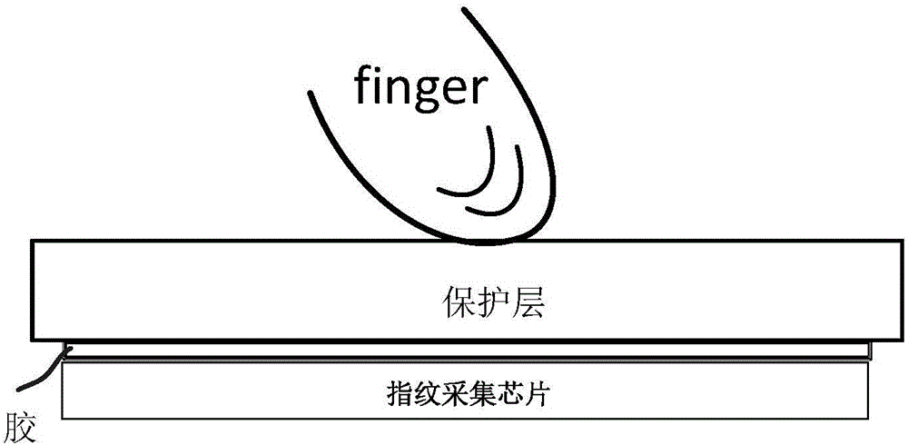 Fingerprint processing device