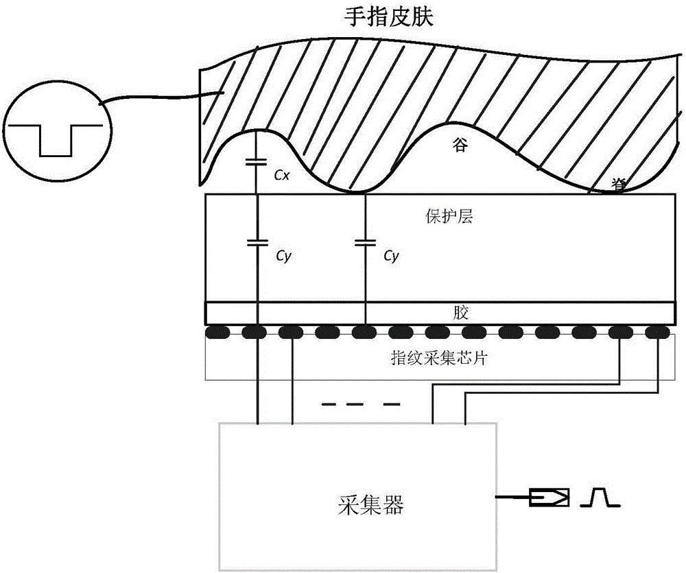 Fingerprint processing device