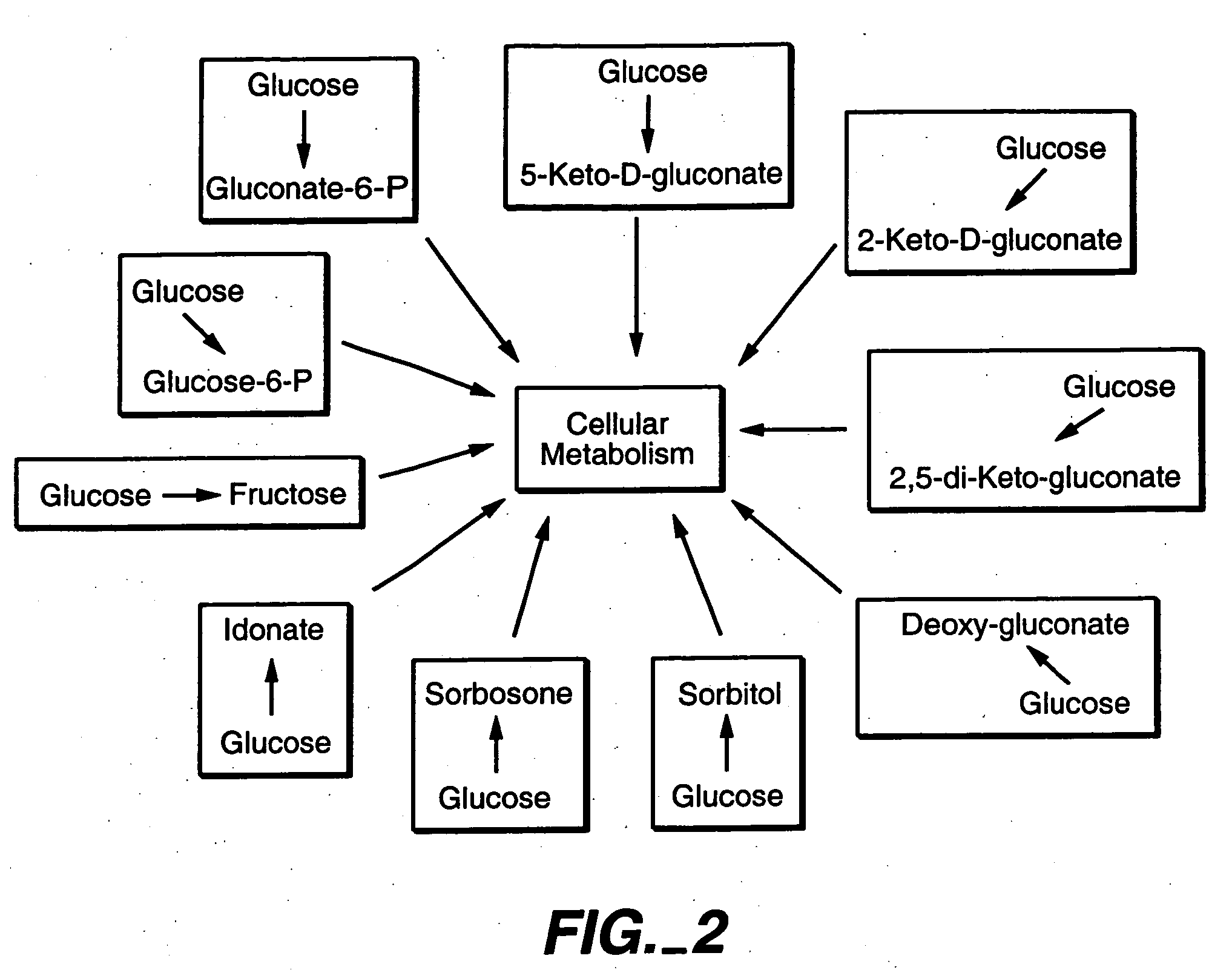 Methods for the production of products in host cells