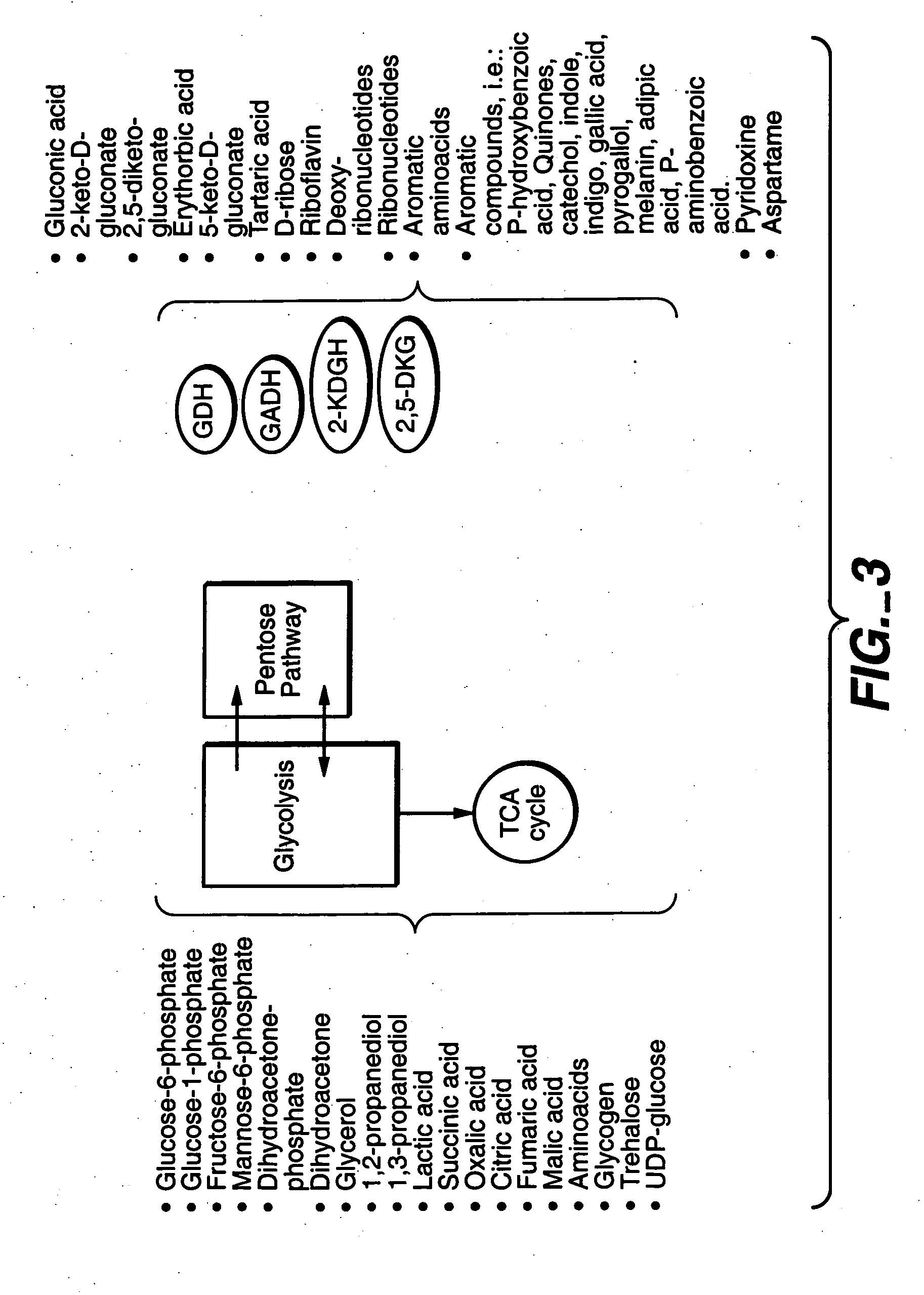 Methods for the production of products in host cells