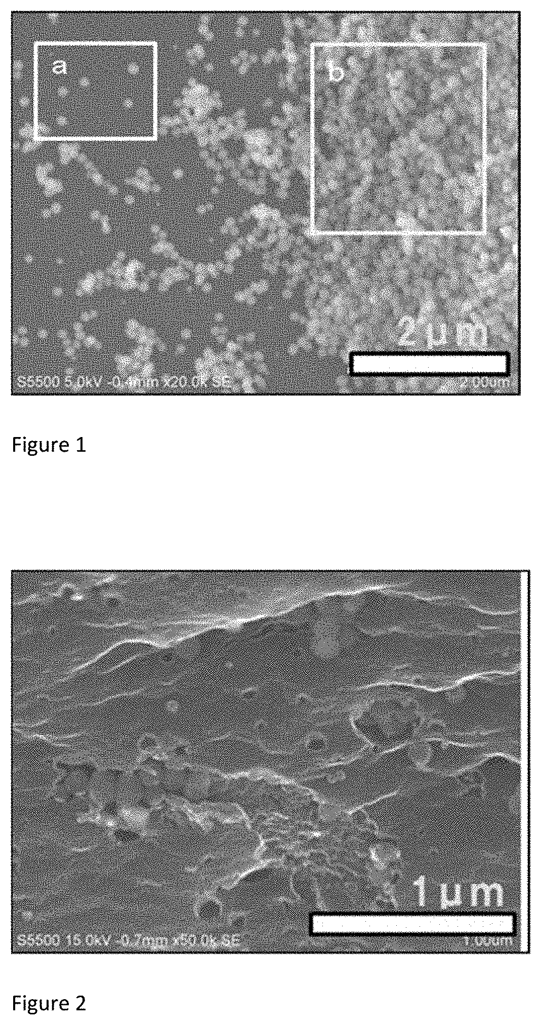 Separation membrane