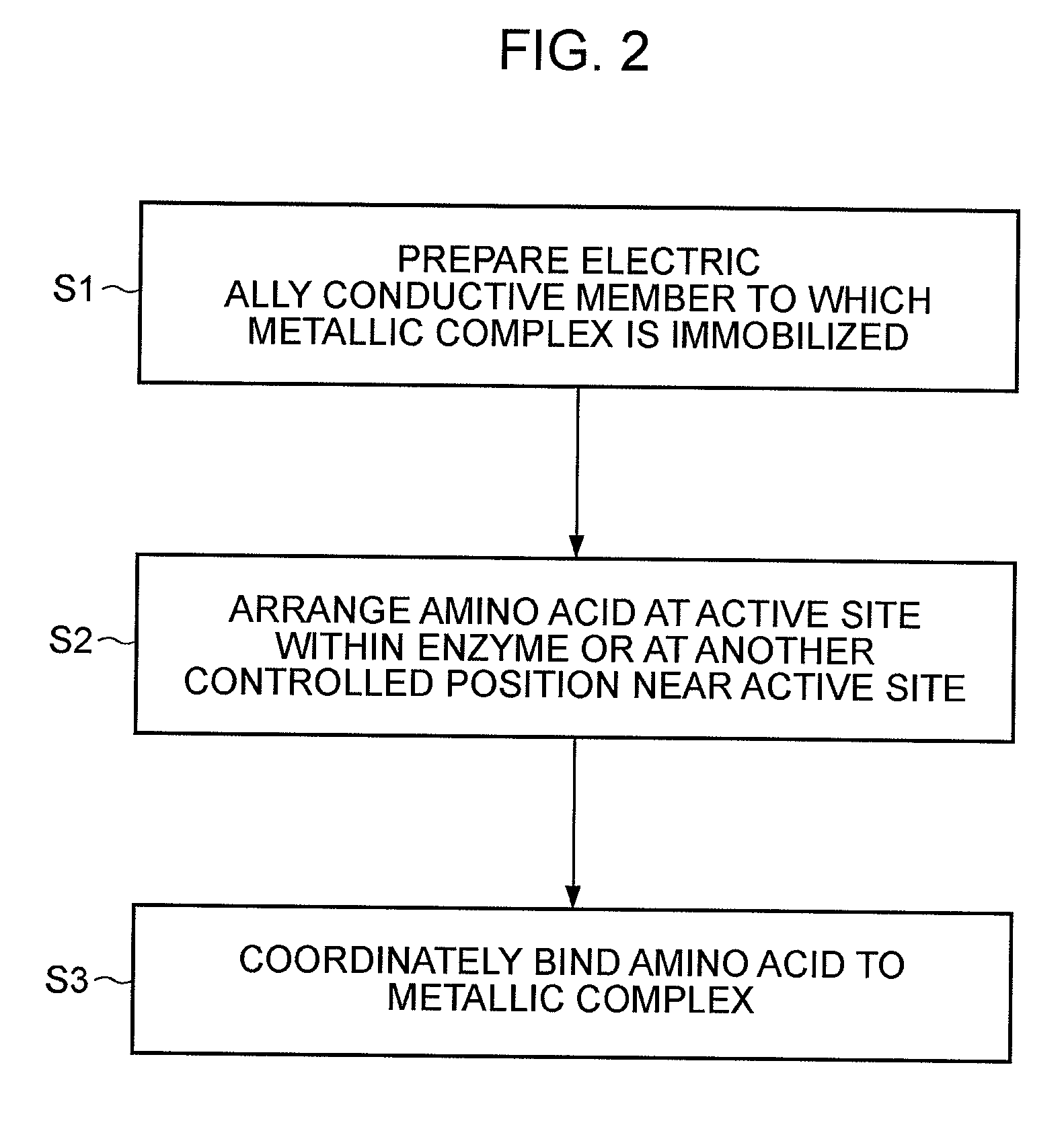 Enzyme electrode, enzyme electrode producing method, sensor and fuel cell each using enzyme electrode