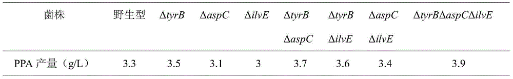 Recombinant bacteria with improved alpha-phenylpyruvic acid transformation production efficiency