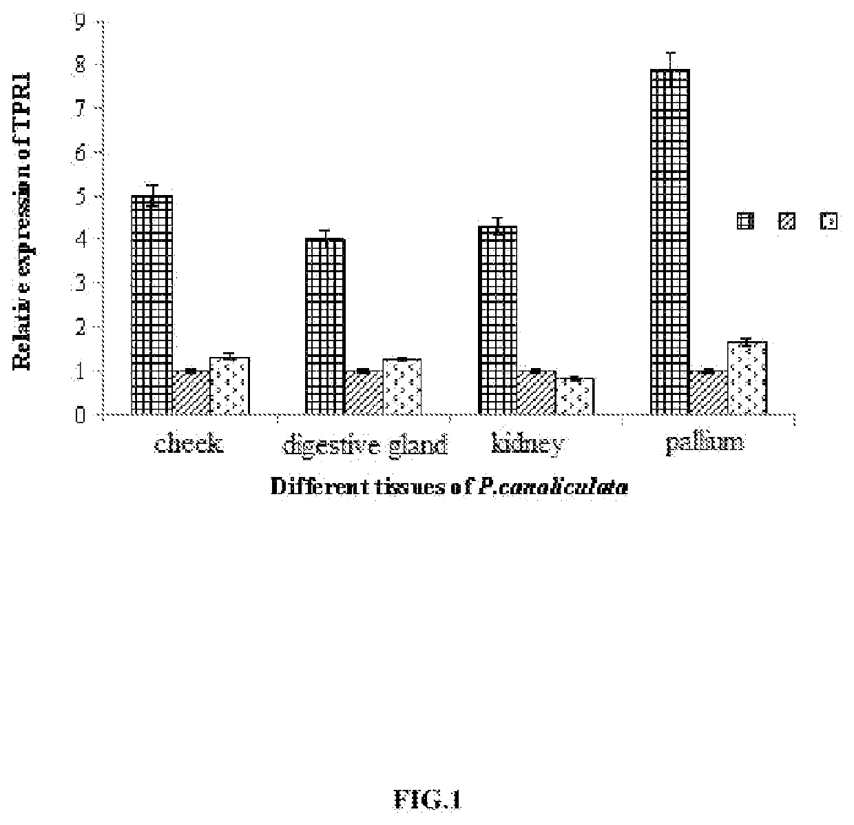 Tpr1 gene related to low-temperature tolerance of pomacea, coding protein and application of same