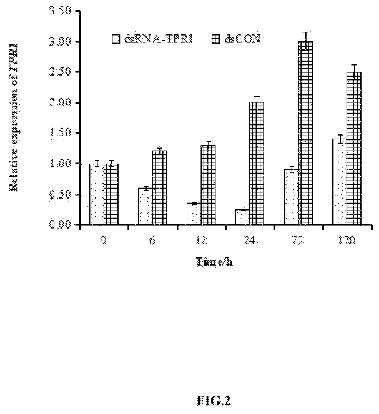 Tpr1 gene related to low-temperature tolerance of pomacea, coding protein and application of same