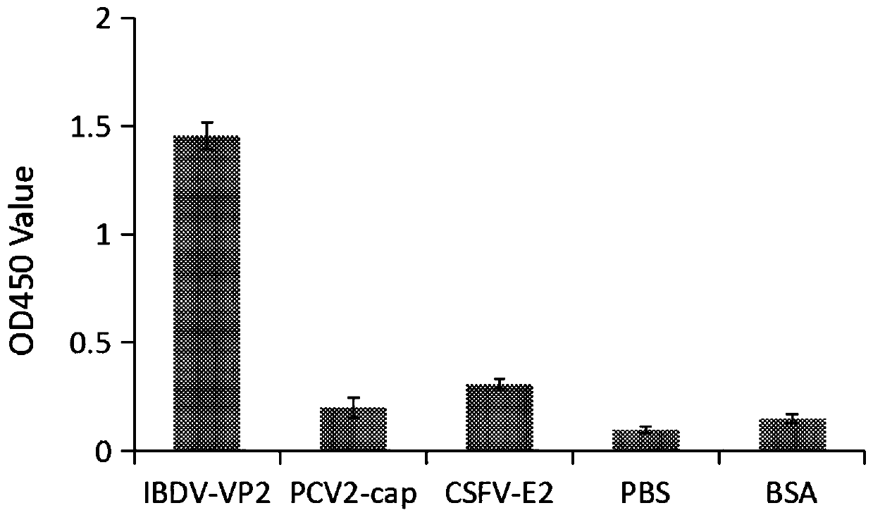 Polypeptide sequence specifically bonded with poultry bursal virus VP2 protein, and application of polypeptide sequence