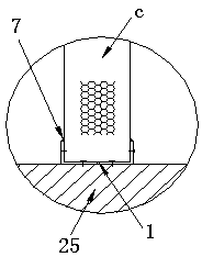 Manned test device for people, fishes and Azolla imbircata and working method