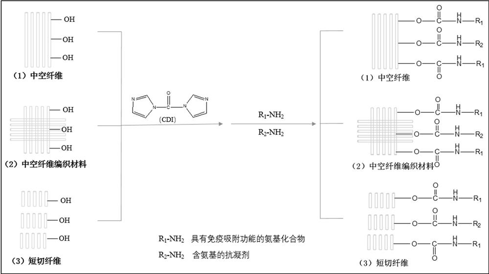 Immunoadsorption blood purification material and preparation method thereof