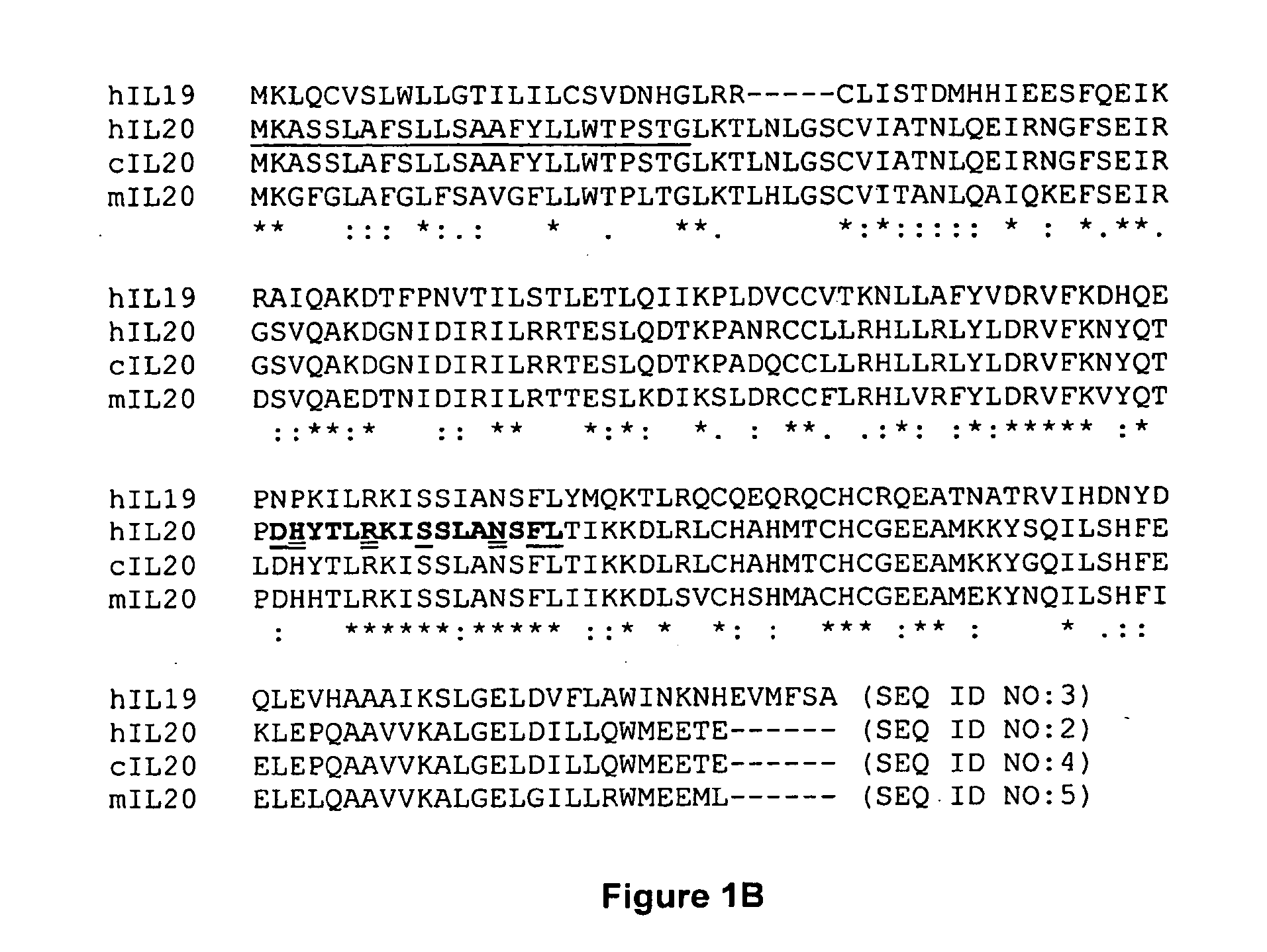 Anti-Human Interleukin-20 Antibodies