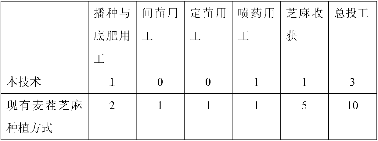 Simplified planting method of wheat stubble sesame