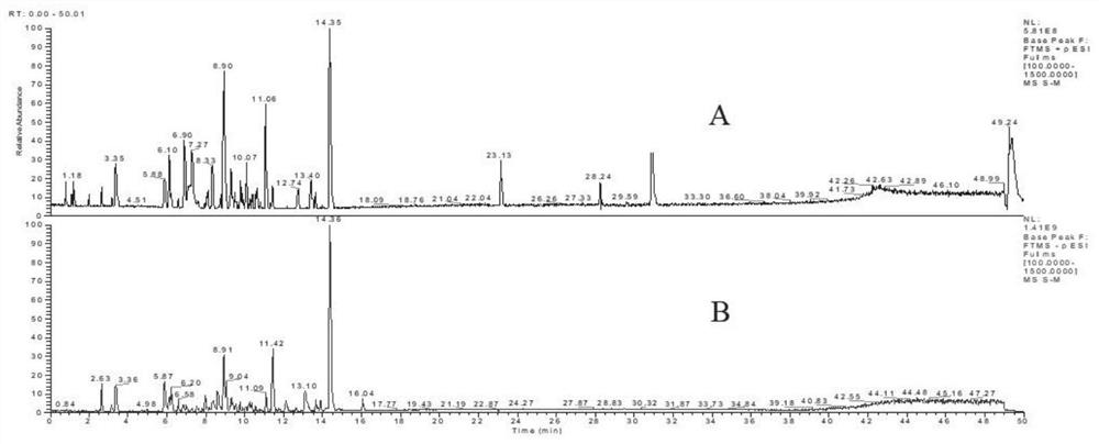 Sorghum root effective part and extraction method and use thereof