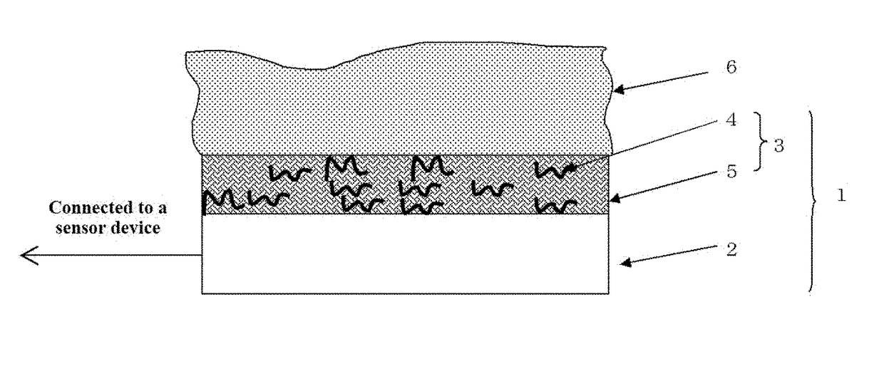 Bio-electrode composition, bio-electrode, and method for manufacturing bio-electrode