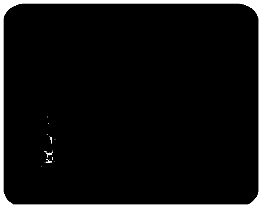 Dye-type neutral ink and preparation method thereof