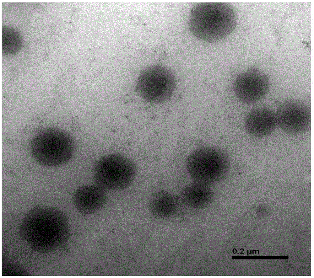 Method for rapidly detecting cronobacter sakazakii on basis of PGM and magnetic nano-microspheres