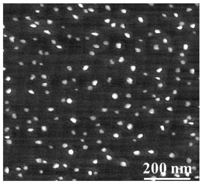 Preparation method and application of wafer-level absolute single-layer transition metal chalcogenide