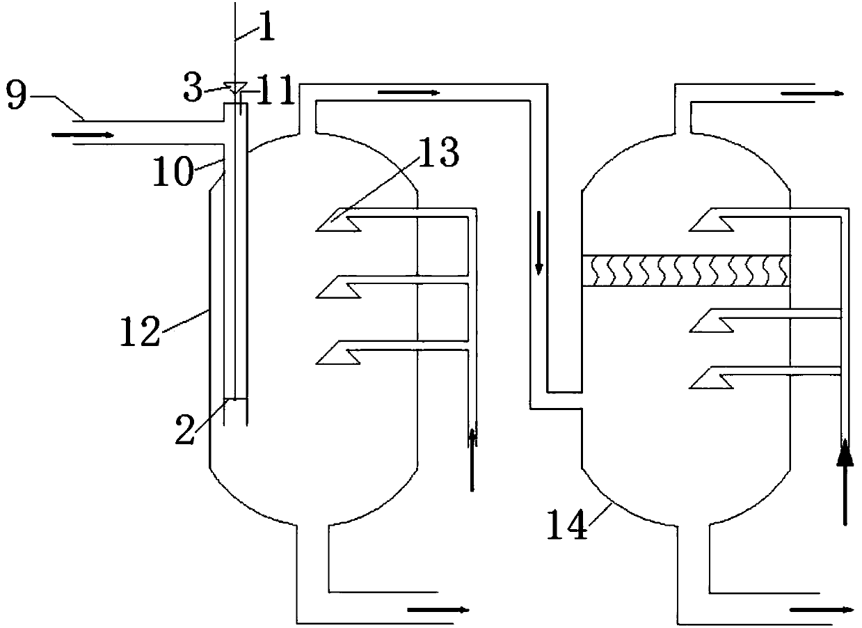 Biomass gas conveying system