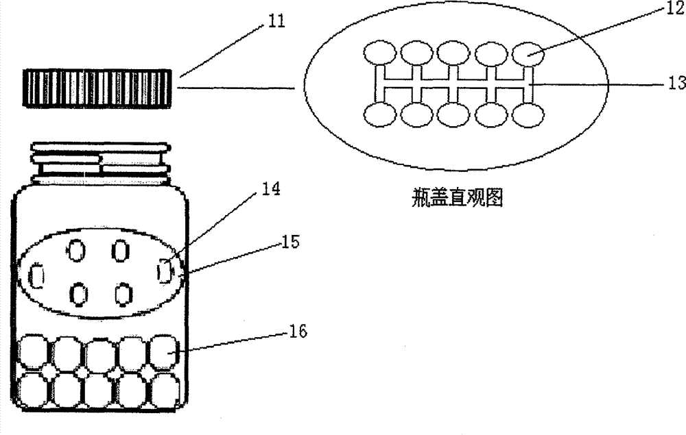 Device for rapid dehydration and of fixing biological molecule detection sample and method