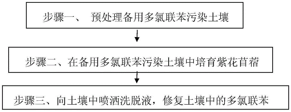 Method for remediating polychlorinated biphenyl polluted soil through combination of chemical elution and plants