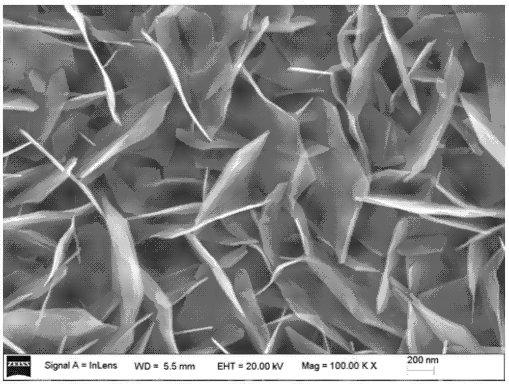 Method for preparing flowerlike nanometer cobalt by using anodised aluminum template, and product of same