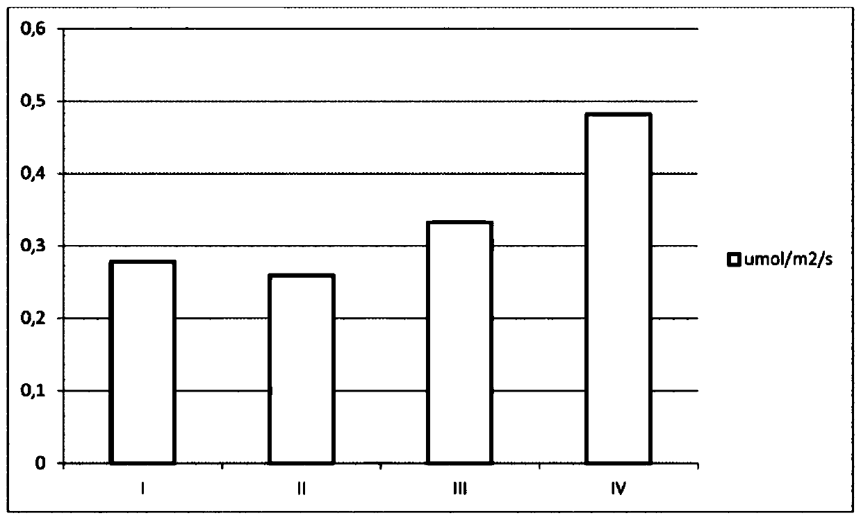 Mulch composition, method of manufacturing and related uses