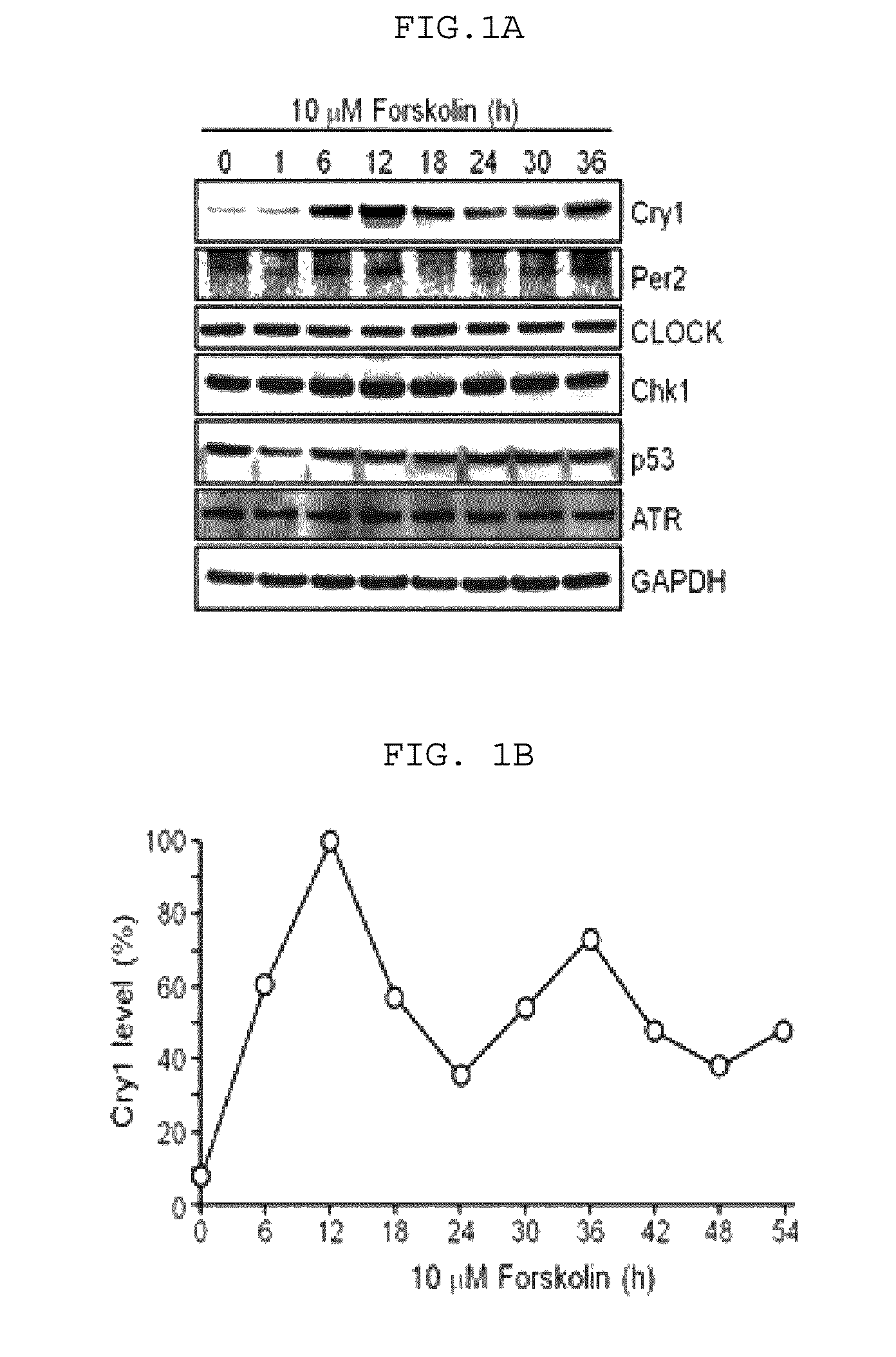 Administration method for anticancer drugs