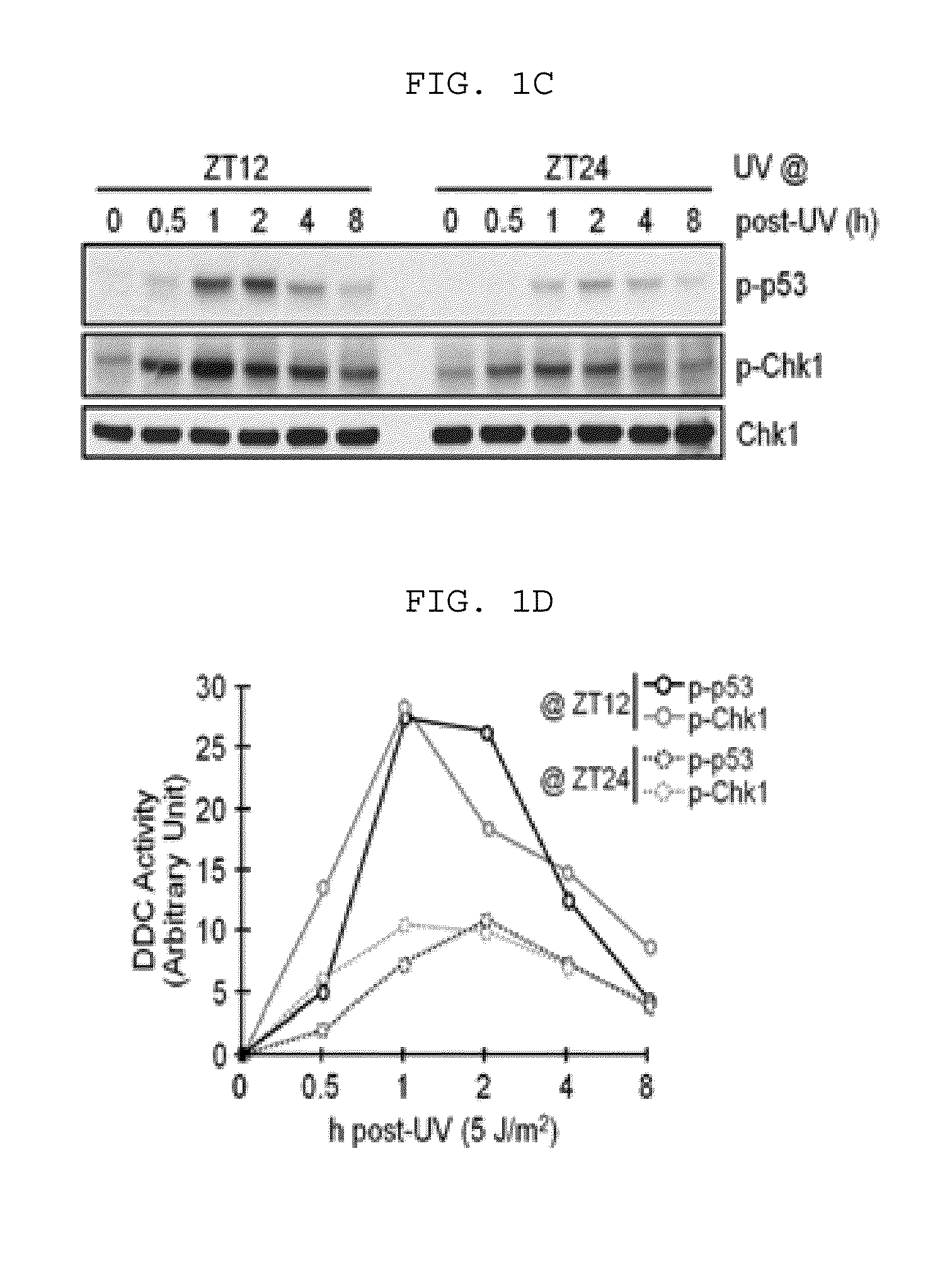 Administration method for anticancer drugs