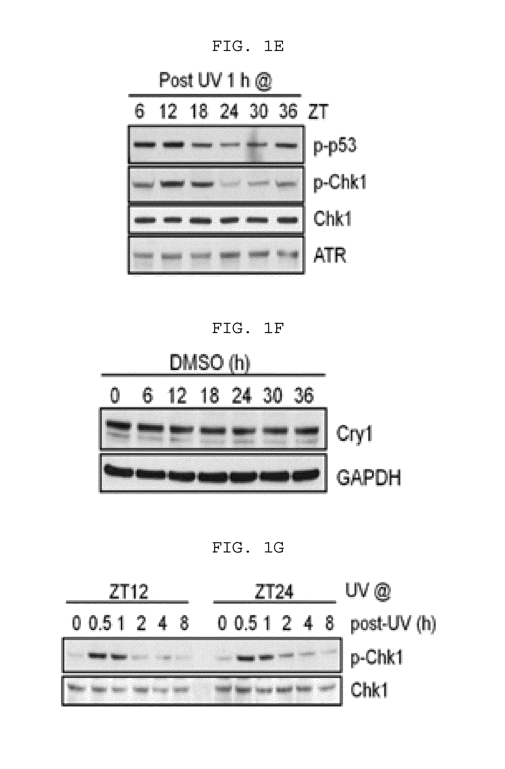 Administration method for anticancer drugs