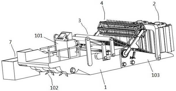 Automatic cattail harvesting, cutting and sorting device