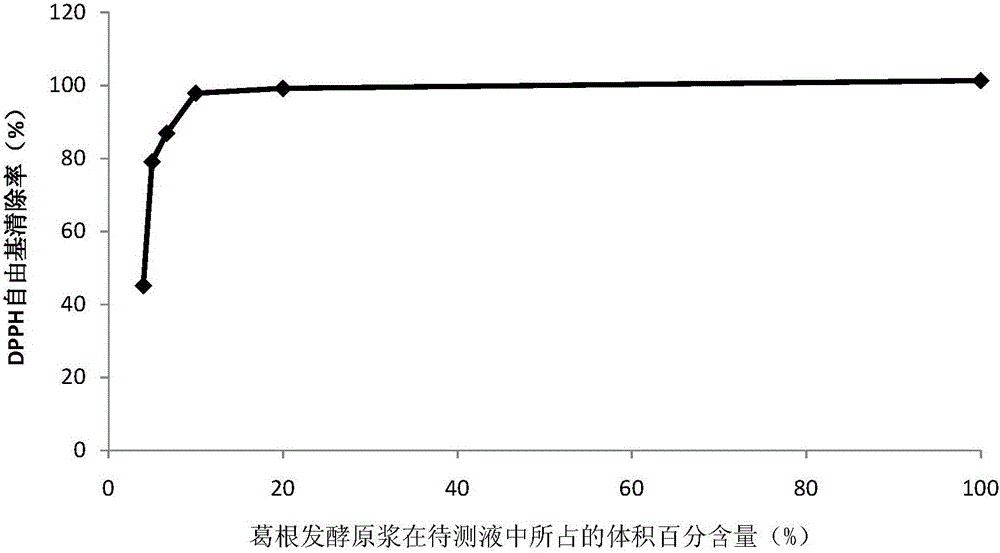 Radix pueraiae fermentation protoplasm cosmetic product and preparation method and application thereof