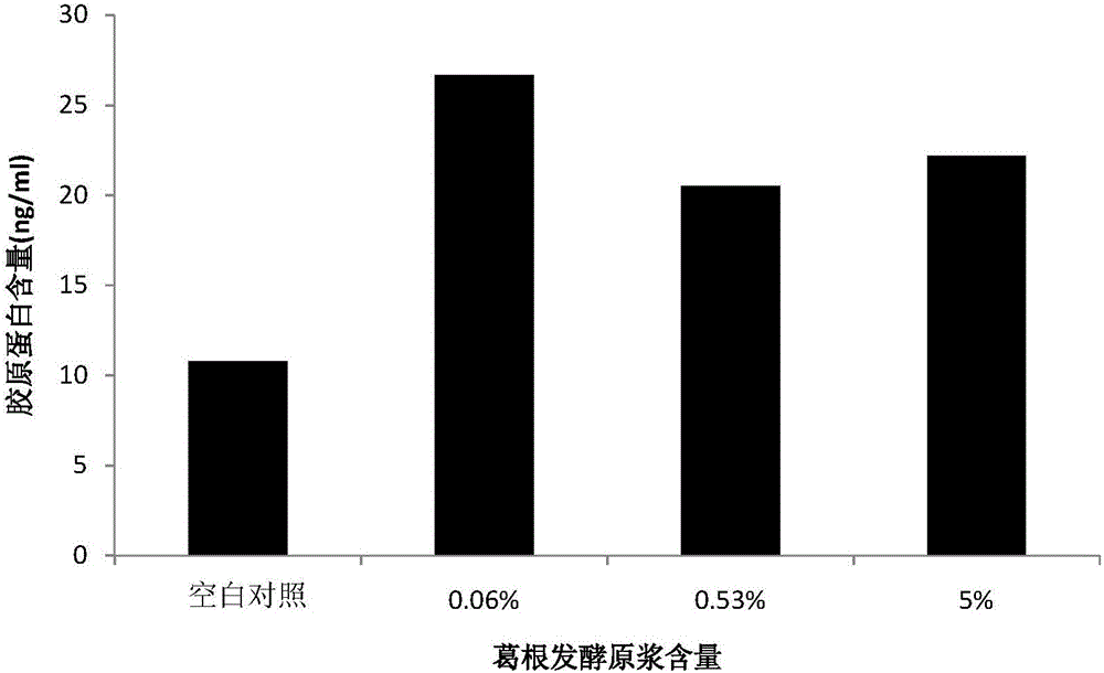 Radix pueraiae fermentation protoplasm cosmetic product and preparation method and application thereof