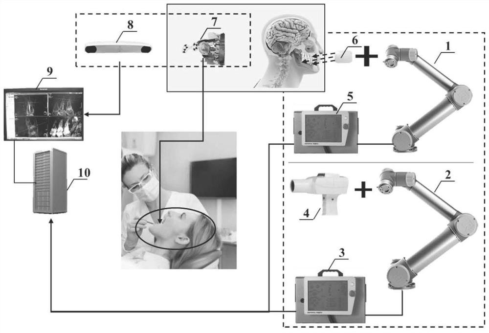 Double-arm collaborative robot control method and system for assisting oral medical image