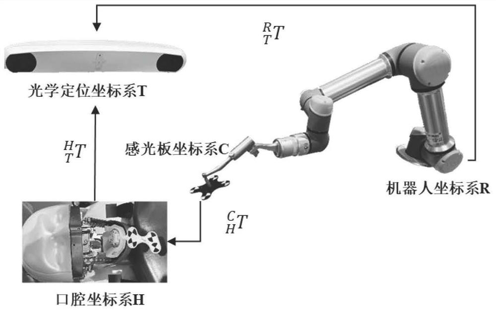 Double-arm collaborative robot control method and system for assisting oral medical image