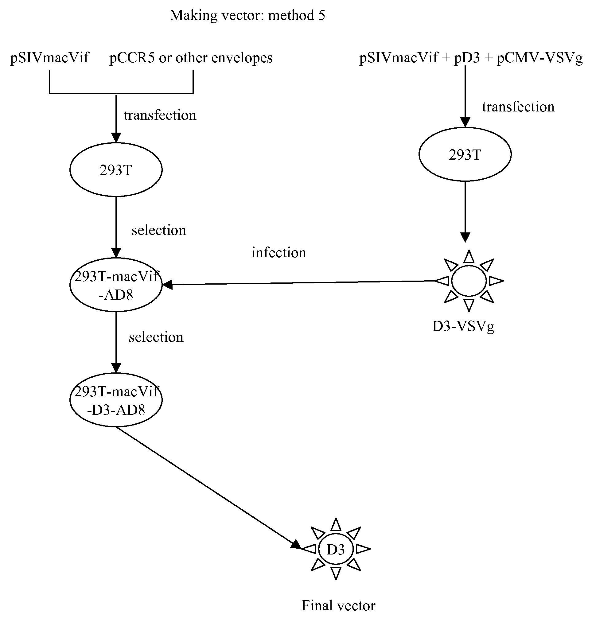 Recombinant vector and use in gene therapy