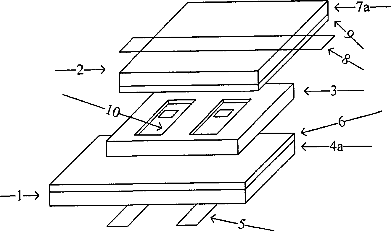 Ultrathin shadow mask type plasma display screen