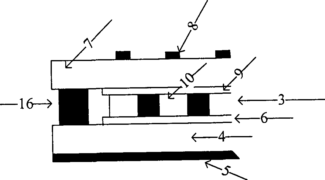 Ultrathin shadow mask type plasma display screen