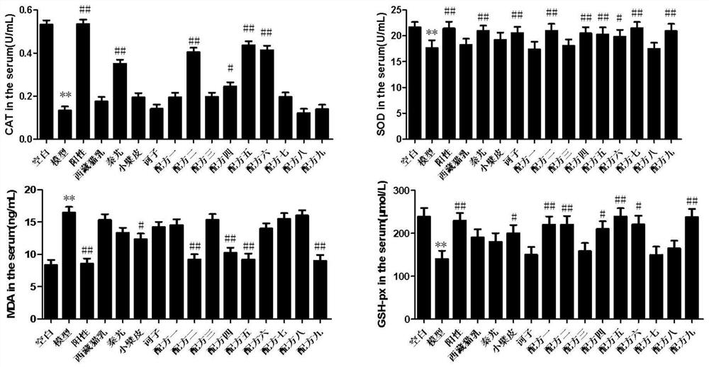 Tibetan medicine composition with effect of treating rheumatoid arthritis as well as preparation method and application of Tibetan medicine composition