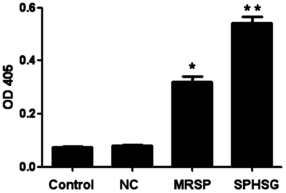 Polypeptide for inhibiting cell proliferation and inducing apoptosis and preparation method and use thereof