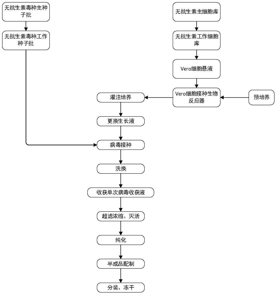 Preparation process of rabies vaccine without antibiotic addition