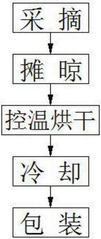 Preparation method of golden chrysanthemum